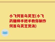 小飞何首乌灵芝(小飞药膳师手把手教你制作何首乌灵芝煲汤)