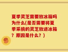 夏季灵芝需要放冰箱吗为什么(是否需要将夏季采摘的灵芝放进冰箱？原因是什么？)