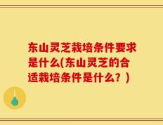 东山灵芝栽培条件要求是什么(东山灵芝的合适栽培条件是什么？)