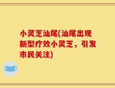 小灵芝汕尾(汕尾出现新型疗效小灵芝，引发市民关注)