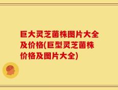 巨大灵芝菌株图片大全及价格(巨型灵芝菌株价格及图片大全)