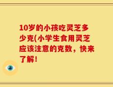 10岁的小孩吃灵芝多少克(小学生食用灵芝应该注意的克数，快来了解！