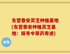 东营泰安灵芝种植基地(东营泰安种植灵芝基地：探寻中草药奇迹)