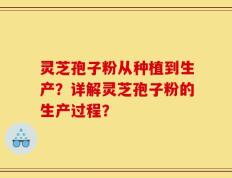 灵芝孢子粉从种植到生产？详解灵芝孢子粉的生产过程？