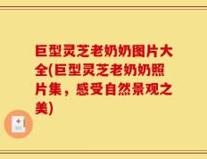 巨型灵芝老奶奶图片大全(巨型灵芝老奶奶照片集，感受自然景观之美)