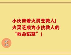 小伙带着火灵芝救人(火灵芝成为小伙救人的“救命稻草”)