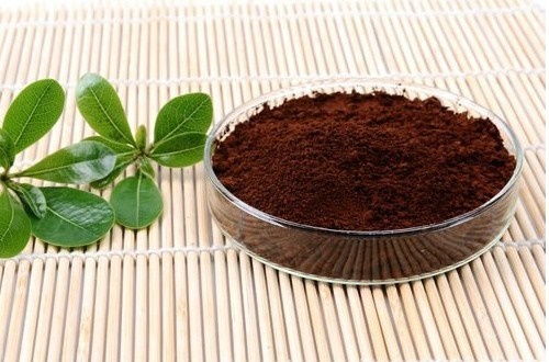 身体没病可以喝灵芝孢子粉吗？