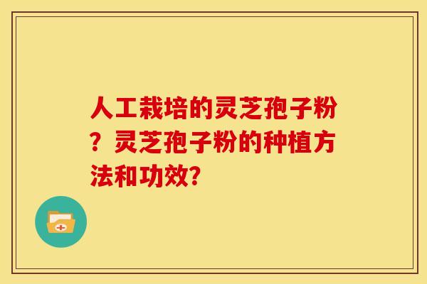 人工栽培的灵芝孢子粉?灵芝孢子粉的种植方法和功效?