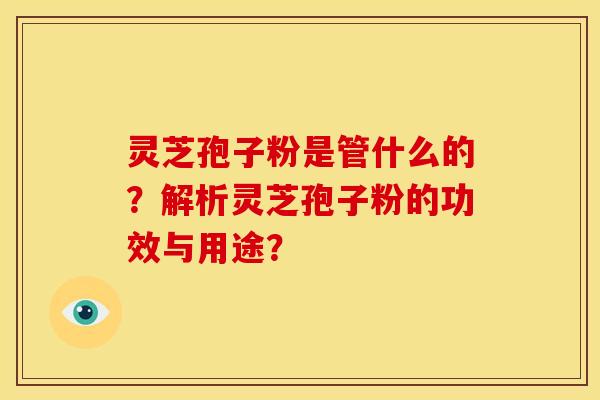 灵芝孢子粉是管什么的?解析灵芝孢子粉的功效与用途?