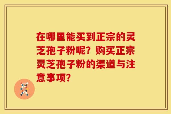 在哪里能买到正宗的灵芝孢子粉呢？购买正宗灵芝孢子粉的渠道与注意事项？
