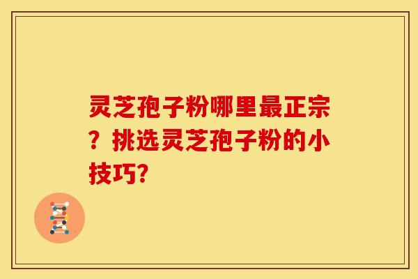 灵芝孢子粉哪里最正宗?挑选灵芝孢子粉的小技巧?