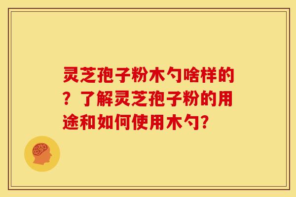 灵芝孢子粉木勺啥样的？了解灵芝孢子粉的用途和如何使用木勺？