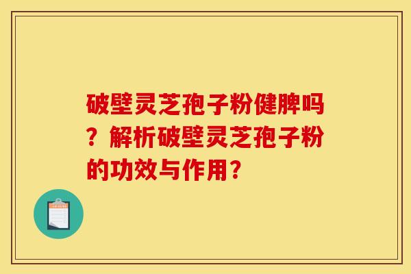 破壁灵芝孢子粉健脾吗?解析破壁灵芝孢子粉的功效与作用?