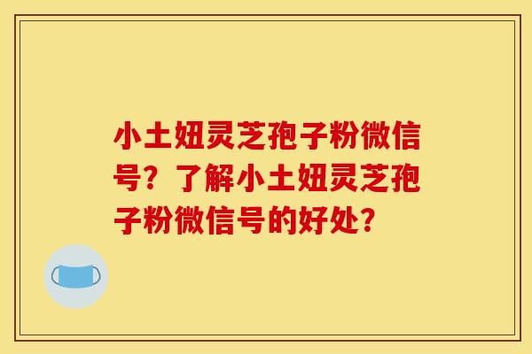 小土妞灵芝孢子粉微信号？了解小土妞灵芝孢子粉微信号的好处？