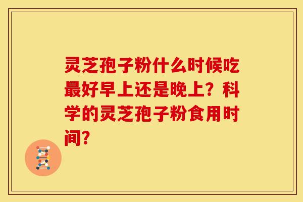 灵芝孢子粉什么时候吃最好早上还是晚上?科学的灵芝孢子粉食用时间?