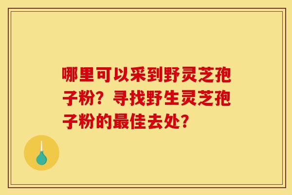 哪里可以采到野灵芝孢子粉?寻找野生灵芝孢子粉的最佳去处?