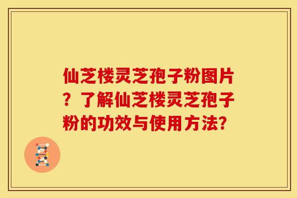 仙芝楼灵芝孢子粉图片?了解仙芝楼灵芝孢子粉的功效与使用方法?
