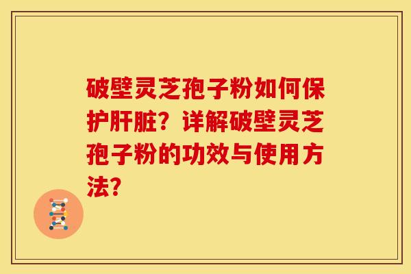 破壁灵芝孢子粉如何保护肝脏?详解破壁灵芝孢子粉的功效与使用方法?