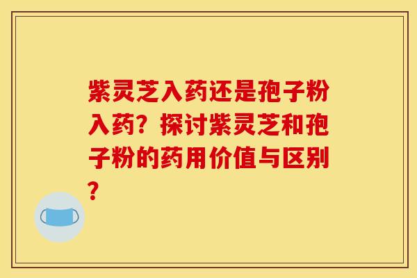 紫灵芝入药还是孢子粉入药?探讨紫灵芝和孢子粉的药用价值与区别?