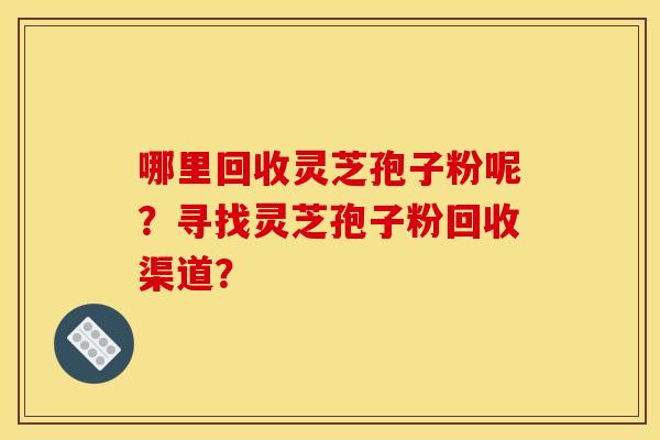 哪里回收灵芝孢子粉呢？寻找灵芝孢子粉回收渠道？