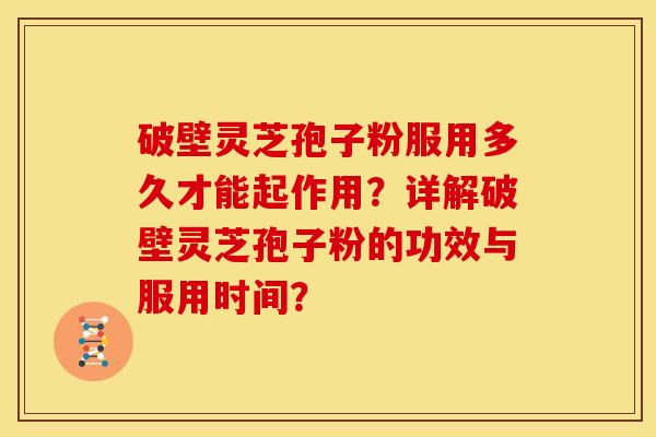 破壁灵芝孢子粉服用多久才能起作用？详解破壁灵芝孢子粉的功效与服用时间？