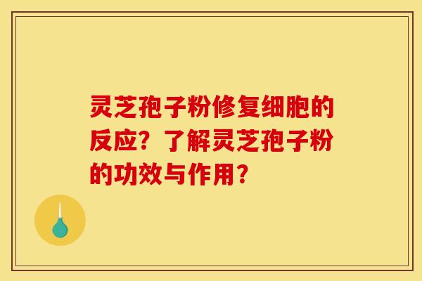 灵芝孢子粉修复细胞的反应?了解灵芝孢子粉的功效与作用?