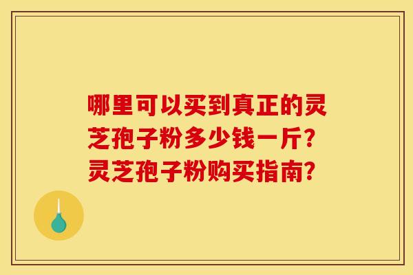 哪里可以买到真正的灵芝孢子粉多少钱一斤?灵芝孢子粉购买指南?