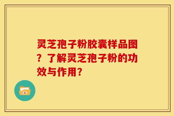 灵芝孢子粉胶囊样品图?了解灵芝孢子粉的功效与作用?