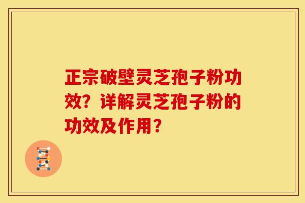 正宗破壁灵芝孢子粉功效？详解灵芝孢子粉的功效及作用？