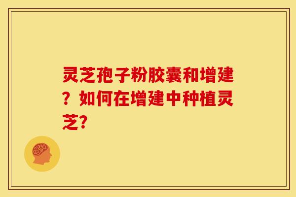 灵芝孢子粉胶囊和增建?如何在增建中种植灵芝?
