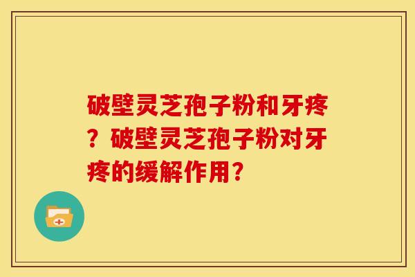 破壁灵芝孢子粉和牙疼？破壁灵芝孢子粉对牙疼的缓解作用？