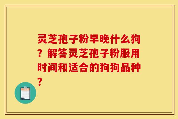 灵芝孢子粉早晚什么狗？解答灵芝孢子粉服用时间和适合的狗狗品种？