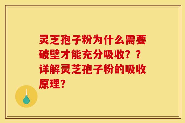 灵芝孢子粉为什么需要破壁才能充分吸收？？详解灵芝孢子粉的吸收原理？