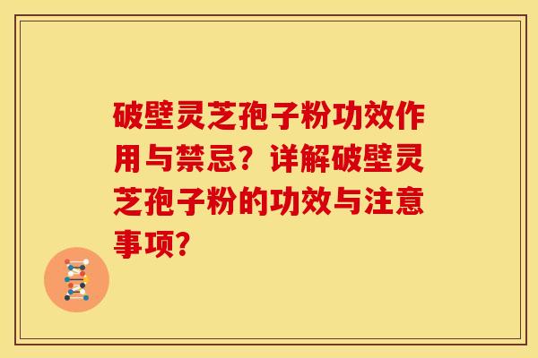 破壁灵芝孢子粉功效作用与禁忌?详解破壁灵芝孢子粉的功效与注意事项?