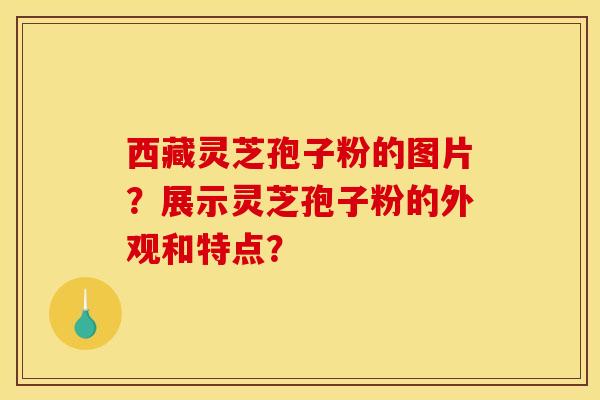 西藏灵芝孢子粉的图片?展示灵芝孢子粉的外观和特点?