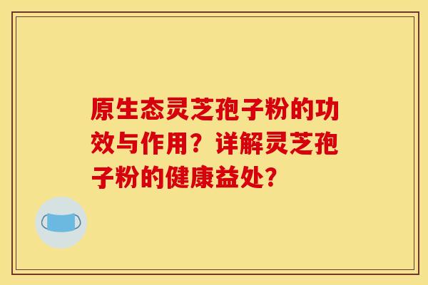 原生态灵芝孢子粉的功效与作用？详解灵芝孢子粉的健康益处？