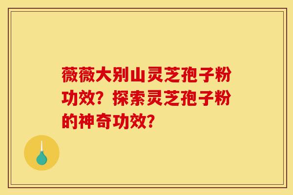 薇薇大别山灵芝孢子粉功效?探索灵芝孢子粉的神奇功效?