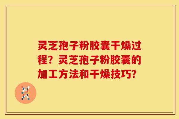 灵芝孢子粉胶囊干燥过程?灵芝孢子粉胶囊的加工方法和干燥技巧?