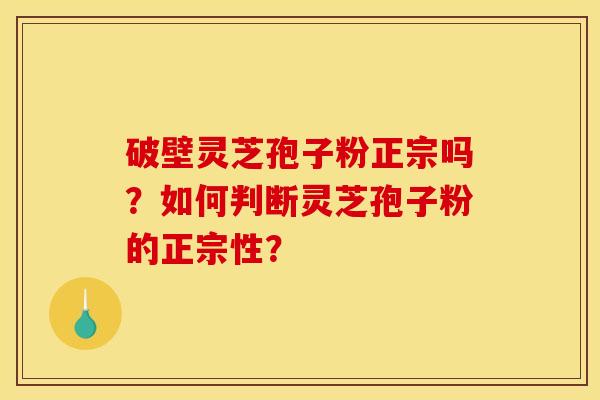 破壁灵芝孢子粉正宗吗?如何判断灵芝孢子粉的正宗性?