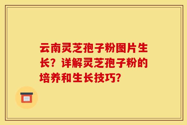 云南灵芝孢子粉图片生长?详解灵芝孢子粉的培养和生长技巧?