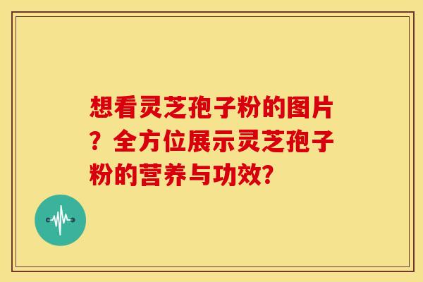 想看灵芝孢子粉的图片?全方位展示灵芝孢子粉的营养与功效?