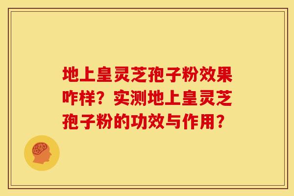 地上皇灵芝孢子粉效果咋样？实测地上皇灵芝孢子粉的功效与作用？