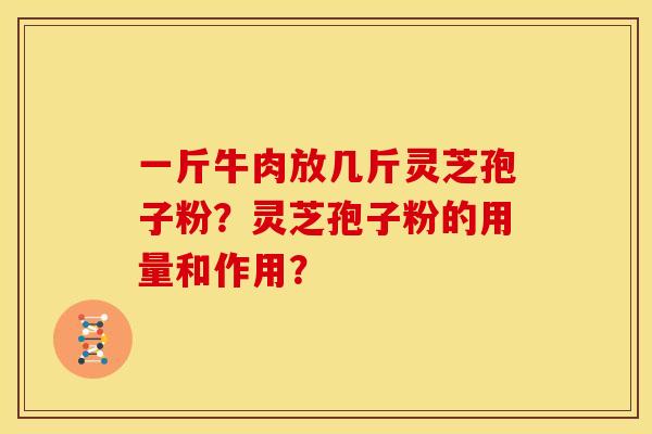 一斤牛肉放几斤灵芝孢子粉?灵芝孢子粉的用量和作用?