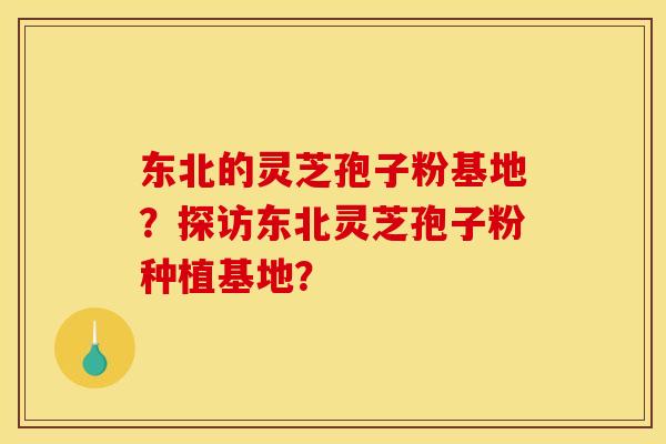 东北的灵芝孢子粉基地?探访东北灵芝孢子粉种植基地?
