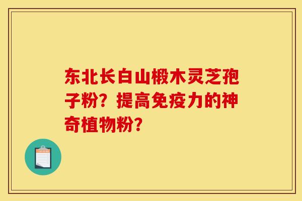东北长白山椴木灵芝孢子粉？提高免疫力的神奇植物粉？