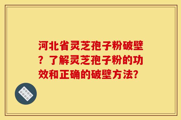 河北省灵芝孢子粉破壁？了解灵芝孢子粉的功效和正确的破壁方法？