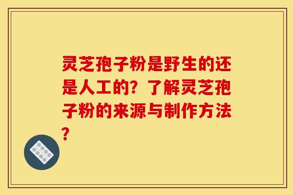 灵芝孢子粉是野生的还是人工的?了解灵芝孢子粉的来源与制作方法?