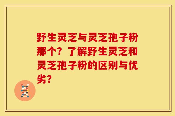 野生灵芝与灵芝孢子粉那个?了解野生灵芝和灵芝孢子粉的区别与优劣?