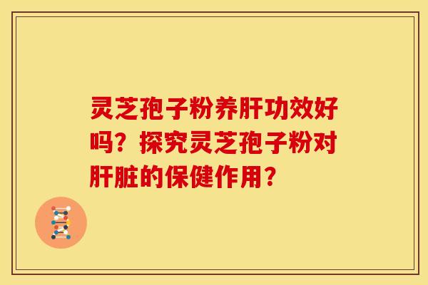 灵芝孢子粉养肝功效好吗?探究灵芝孢子粉对肝脏的保健作用?