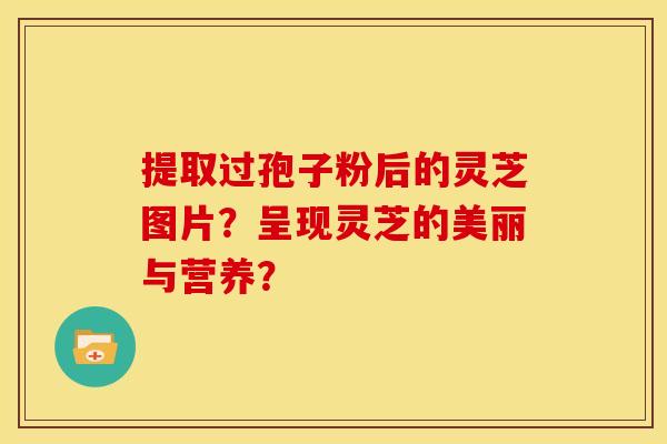 提取过孢子粉后的灵芝图片?呈现灵芝的美丽与营养?